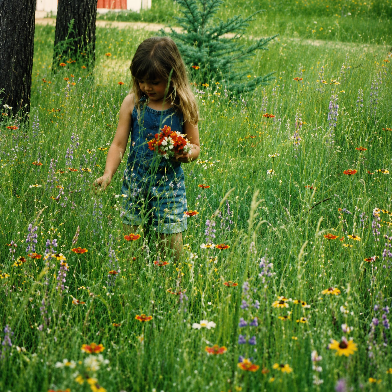A child holding a small hand-picked bouquet of wildflowers in a green field